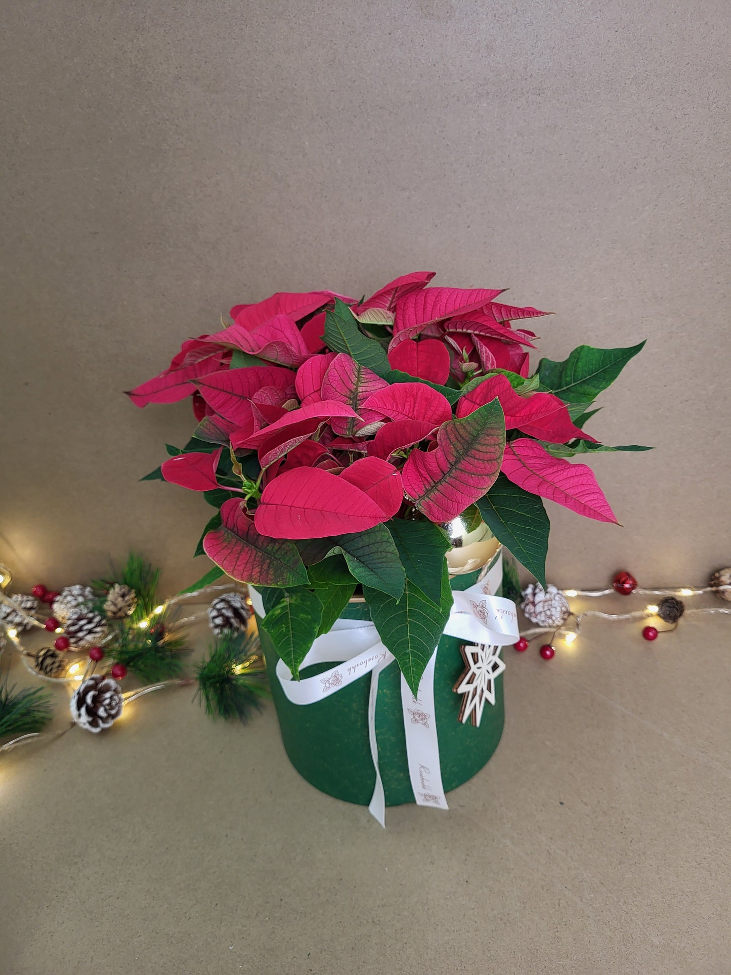 JB02 - Xmas Arrangements